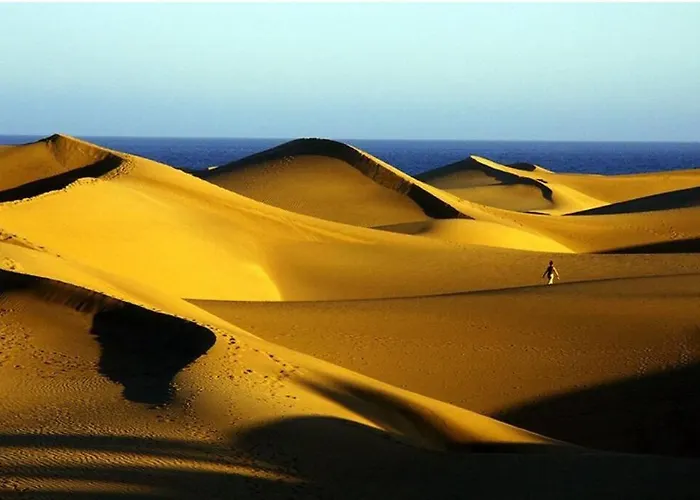 Blue 335 By Casas Cocodrilo 아파트 플라야 델 잉글스